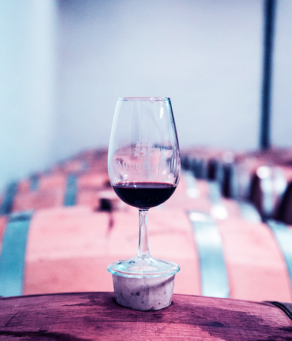 wine-tasting wine-tasting